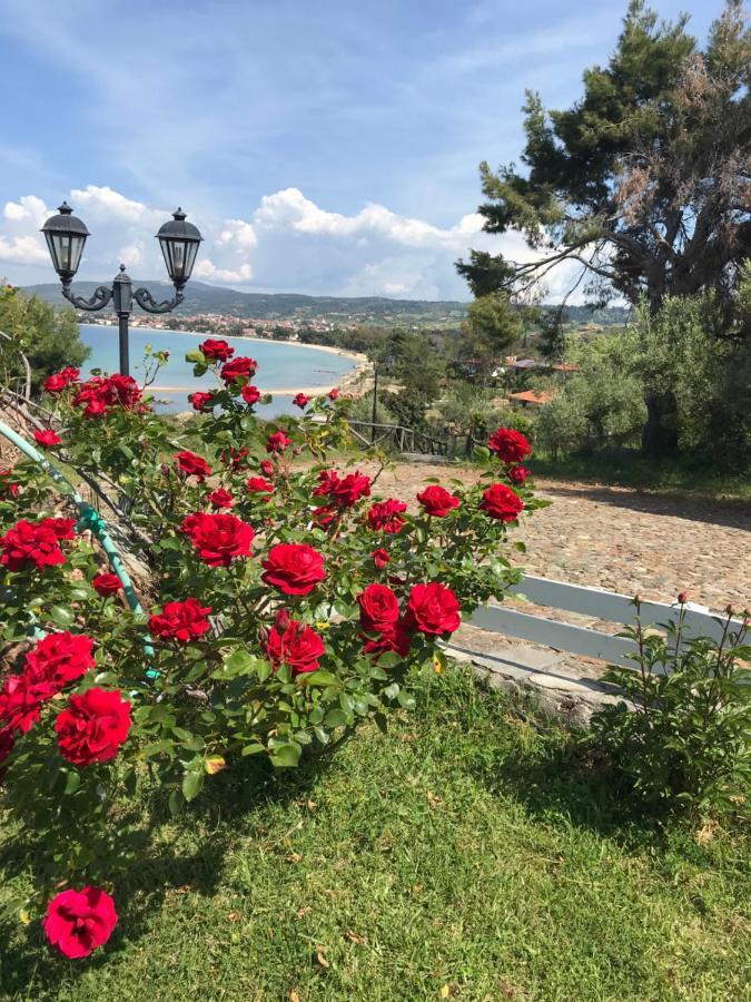 Villa In Cavo Kastri Residence Nikiti  Bagian luar foto